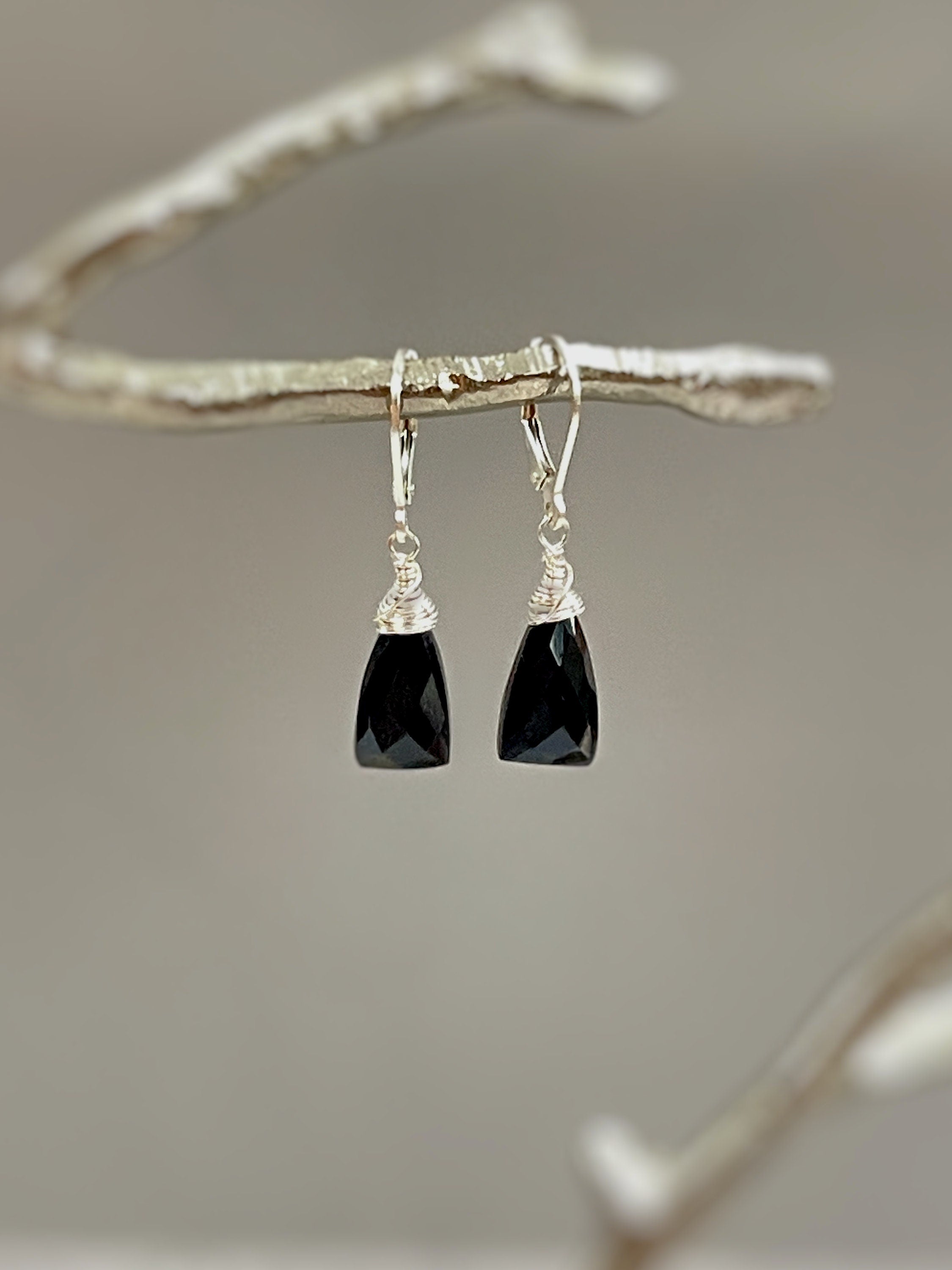 Black Onyx Earrings Dangle