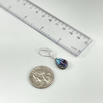 Abalone Shell Earrings 14k Gold, Sterling Silver Summer Jewelry