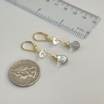 Labradorite Herkimer Diamond Dangle Earrings