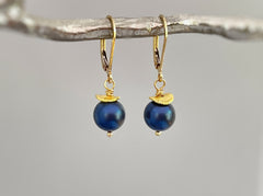 Lapis earrings with blue stone beads and gold disc dangles