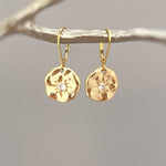 North Star Crystal Earrings