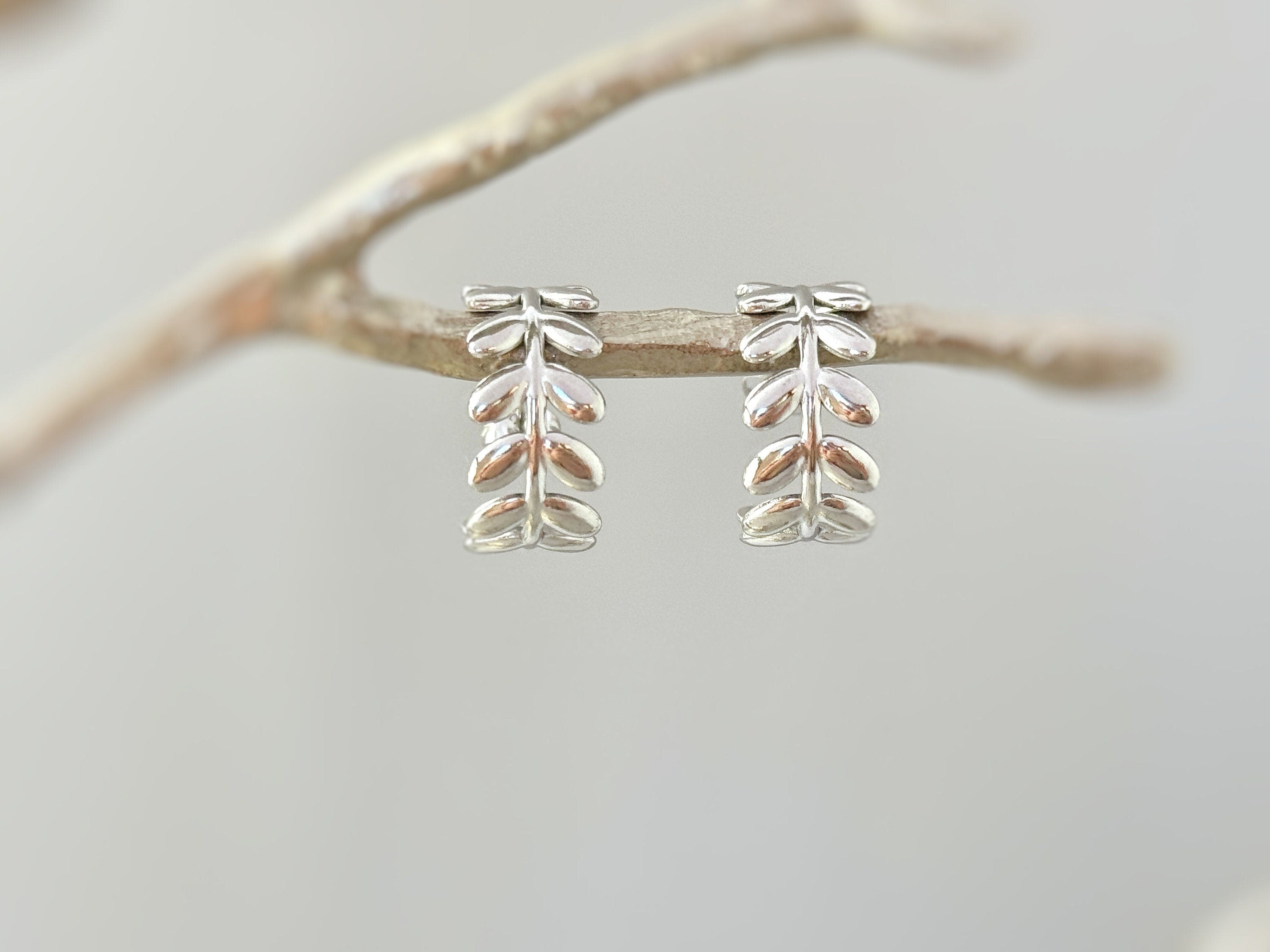 Olive Leaf Earrings Silver Stud Hoops