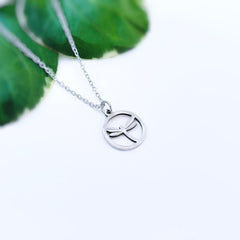 Dainty Dragonfly Necklace gold, silver pendant for women spring, summer jewelry gift for gardener, nature lover sister, mom, best friend