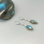 May include: A pair of silver dangle earrings with a teardrop shaped blue-green labradorite gemstone on each earring. The earrings have a silver hook closure.