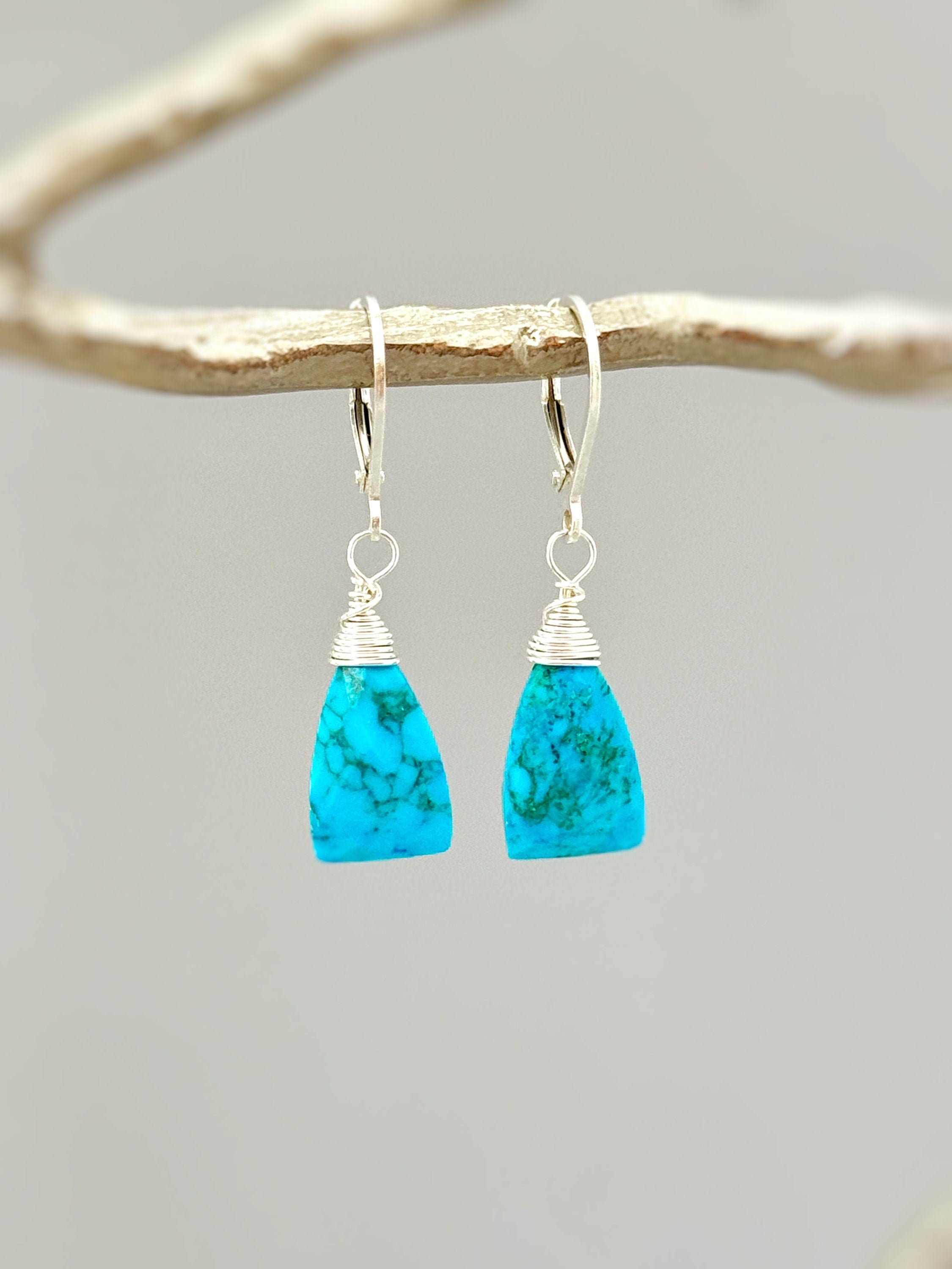 Turquoise Dangle Earrings in Sterling Silver