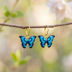 May include: A pair of gold-tone leverback earrings featuring blue butterfly charms. Each butterfly has a gradient of dark to light blue wings with black veins and small white dots along the edges, suspended from a gold-colored metal hook.