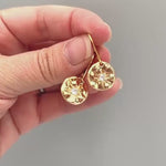 North Star Crystal Earrings