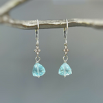 a pair of earrings hanging from a tree branch