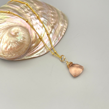 Load image into Gallery viewer, a shell with a gold chain on a white surface