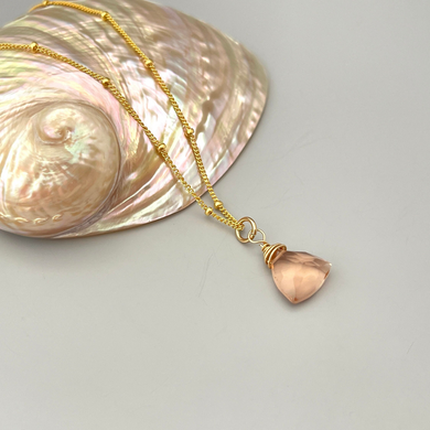 a shell with a gold chain on a white surface
