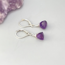 Load image into Gallery viewer, a pair of amethorate earrings sitting on top of a rock