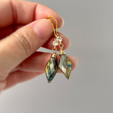 Load image into Gallery viewer, a person holding a pair of earrings in their hand