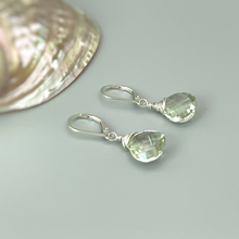 Load image into Gallery viewer, a pair of earrings with a shell in the background