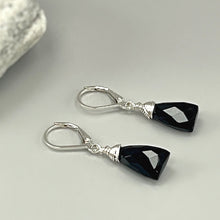 Load image into Gallery viewer, Black Onyx Earrings Earrings