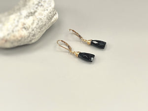 Black Onyx Earrings Earrings Gold