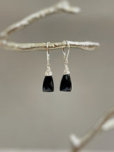 Load image into Gallery viewer, Black Onyx Earrings Earrings