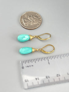 Sleeping Beauty Turquoise 14k Gold Fill Leverback Earrings