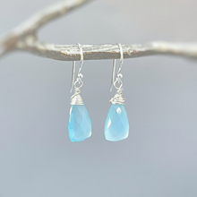 Load image into Gallery viewer, a pair of blue earrings hanging from a tree branch